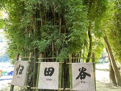 -温州永嘉书院