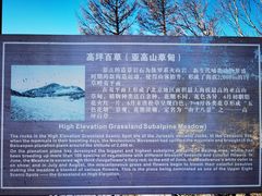 -白草畔自然风景区