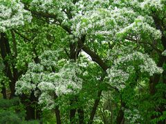 -国家植物园南园