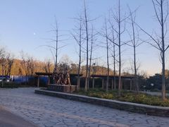 -东郊湿地公园