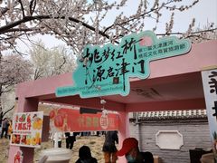 -桃花堤公园