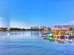 景点-上海长兴岛郊野公园