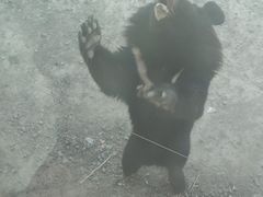 -新疆天山野生动物园