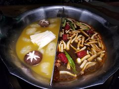 -湊湊火锅·茶憩(石家庄万象城店)