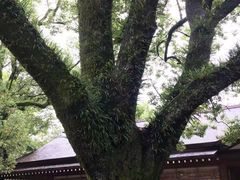 -热田神宫