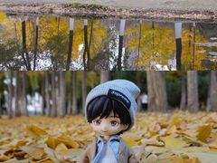 -长白岛森林公园