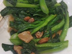 生炒菜心-禄源公·老莞诚饭店
