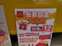 -麦当劳(农光里店)