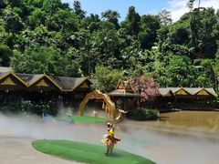 -西双版纳原始森林公园