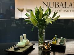 -南美元生态大酒店(海珠店)