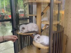 -悠尼宠物·独立低压伊珊娜洗护·美容·寄养(兰谷路店)