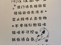 -猫咪派对(江南西店)