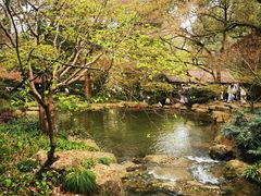 -中国茶叶博物馆(双峰馆区)