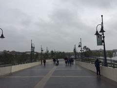 -迪士尼乐园停车场