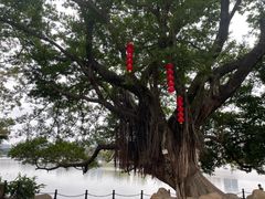 -仁信双皮奶(庙前直街店)