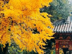 -汇龙潭
