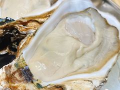 湛江生蚝-阿鸡鱼庄·顺德鲜蒸小炒(亚运村店)