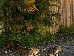 -DGE季风钓虾营地·团建·聚会