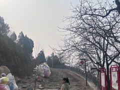 -八奇洞景区