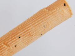 -朱記糯米蛋糕(千川百货店)