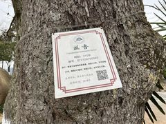 -乌石村