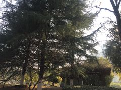 -白塘生态植物园