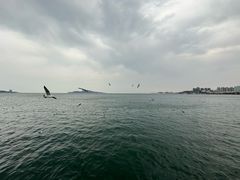 -幸福门