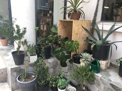 -研途咖啡馆(健康路店)