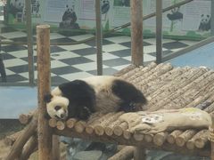 -大连森林动物园