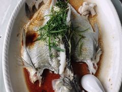 西沙和顺鱼-八仔大富楼·河鲜(西江店)