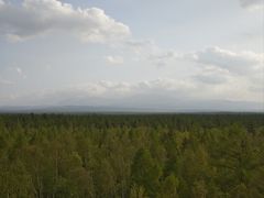 -峡谷浮石林景区