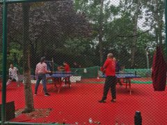 -西安市长乐公园