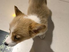 -平行世界·猫咖(首经贸店)