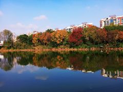 -新江湾城公园