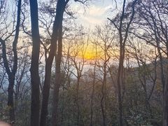 -紫金山山顶公园