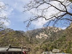 -泰山风景名胜区