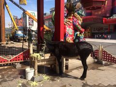 iphone_upload_pic-大舞台剧场