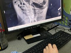 -安安宠医·臻爱宠物医院·宠保定点(营门口路分院)