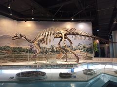 -辽宁古生物博物馆