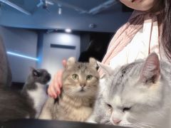 -极木²邸 人与宠物·互动社区