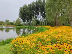 -东郊湿地公园