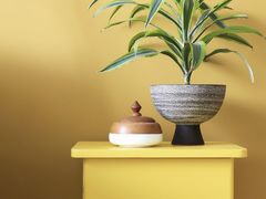 -桂花鸭(中华路总店)