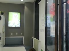 -关爱宠物医院·猫科中心·消化科(滨湖万达分院)