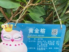 -青青世界