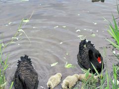 -朝阳公园游乐园