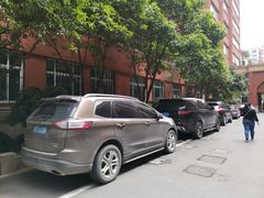 -浙江大学医学院附属第二医院-地面停车场