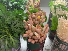 -签小二串串火锅(观音桥店)