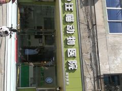 -汪喵宠物医院·骨科心脏影像·犬猫急重症ICU诊疗中心(成华分院)