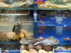 -海味当家·蒸锅海鲜(中山广场创始店)