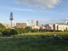 -红花山公园